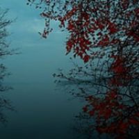 the mist